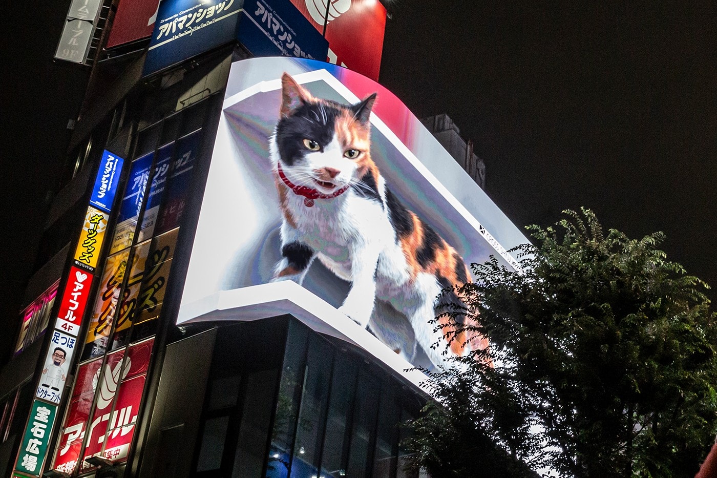 Tokyo japan shinjuku giant cat 3D vision AD 4K display
