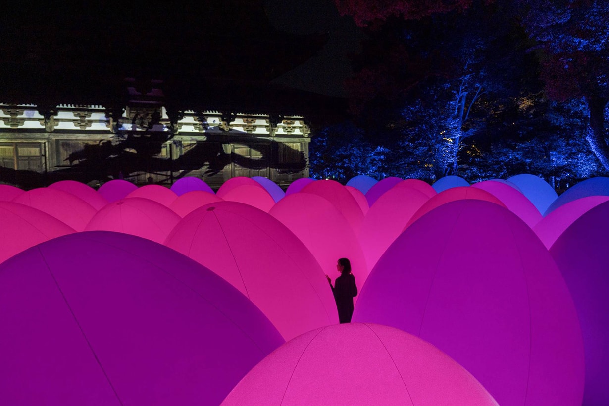 teamLab Digitized World Heritage Site of Toji TOKIO INKARAMI