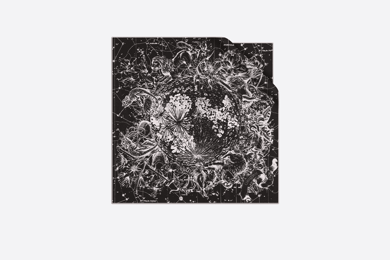 Dior-launches-2021-AW-scarves-collection-Blackpink-Jisoo-fans-04