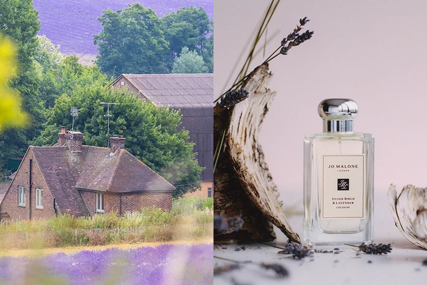 Jo Malone london Silver Birch & Lavender perfumes 2021