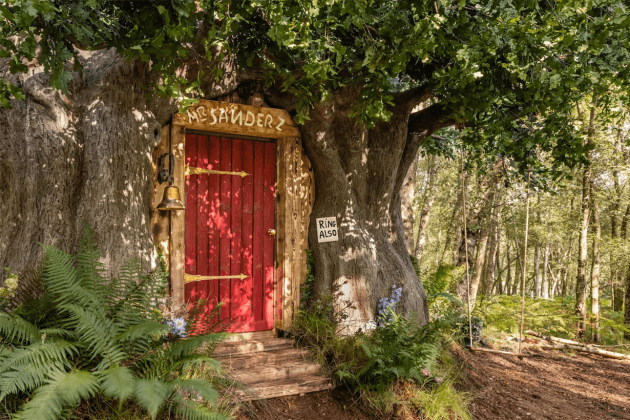 Disney-&-Airbnb-made-a-real-Winnie-the-Pooh-house-to-rent-03