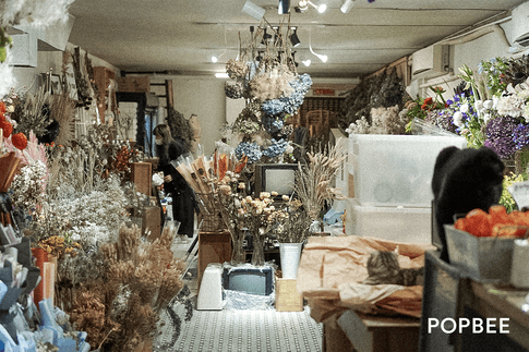 hong-kong-sham-shui-po-pause-rewind-n-fastforward