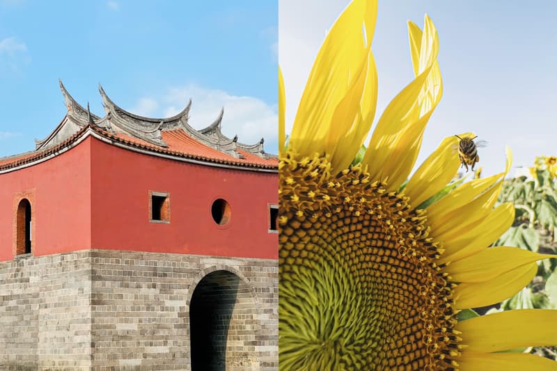 iphone 13 pro max photography real captured with camera test taiwan