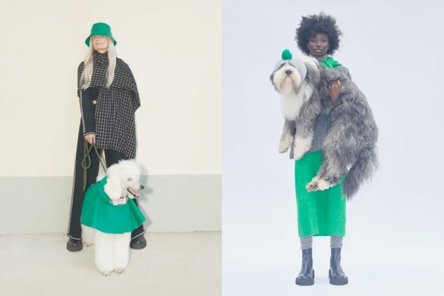 zara pet collection where buy new aw21