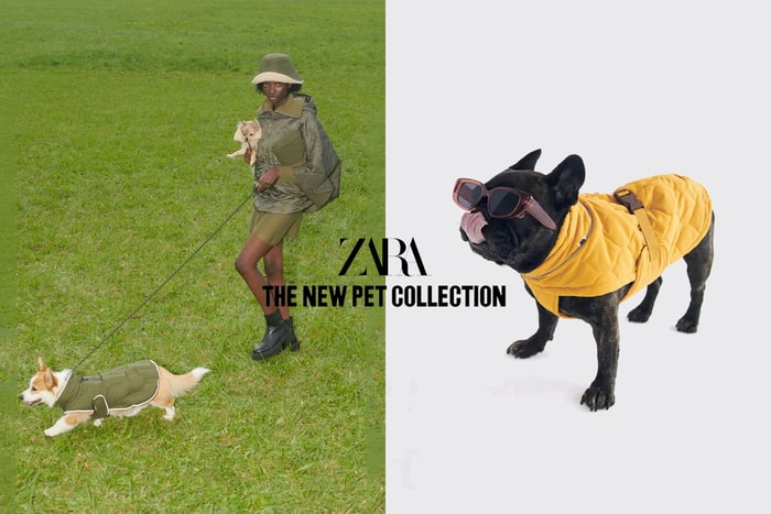 毛小孩的時髦衣櫃：ZARA 全新 Pet Collection，比你想得還實穿！