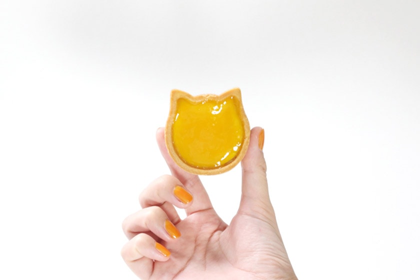 Neko Neko Cheesecake Pop-up store Taichung