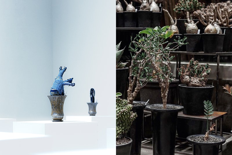 0343 Conservatory Whimsy works fizz new spot taipei east plant 222 collab limited