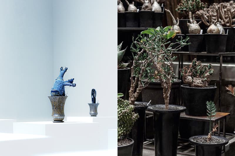0343 Conservatory Whimsy works fizz new spot taipei east plant 222 collab limited
