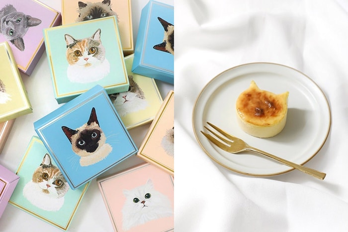 最療癒的四色貓咪蛋糕!東京人氣 Neko Neko Cheesecake 快閃來到台中!