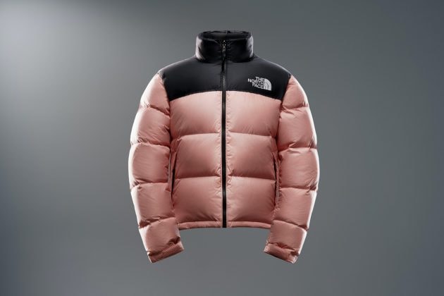 the north face icon nuptse jacket mountain light pink 21 fw