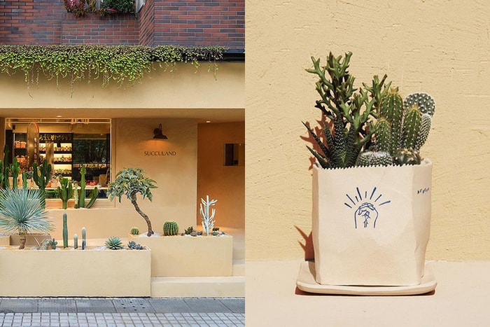 城市裡的最美綠洲:重新開幕的多肉植物專賣店,讓女生們逛到不想離開!