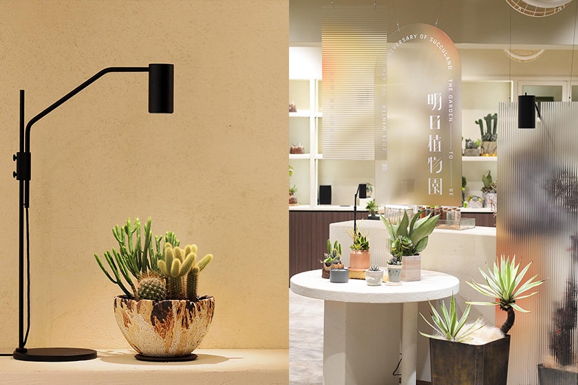 SUCCULAND Succulent plants Store Reopening