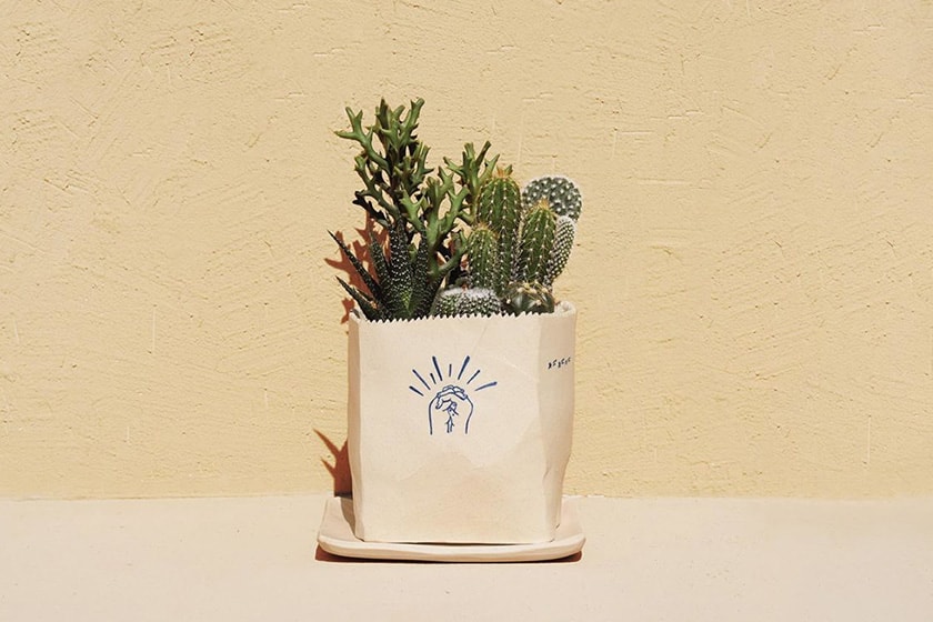 SUCCULAND Succulent plants Store Reopening