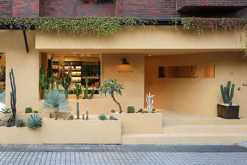 SUCCULAND Succulent plants Store Reopening