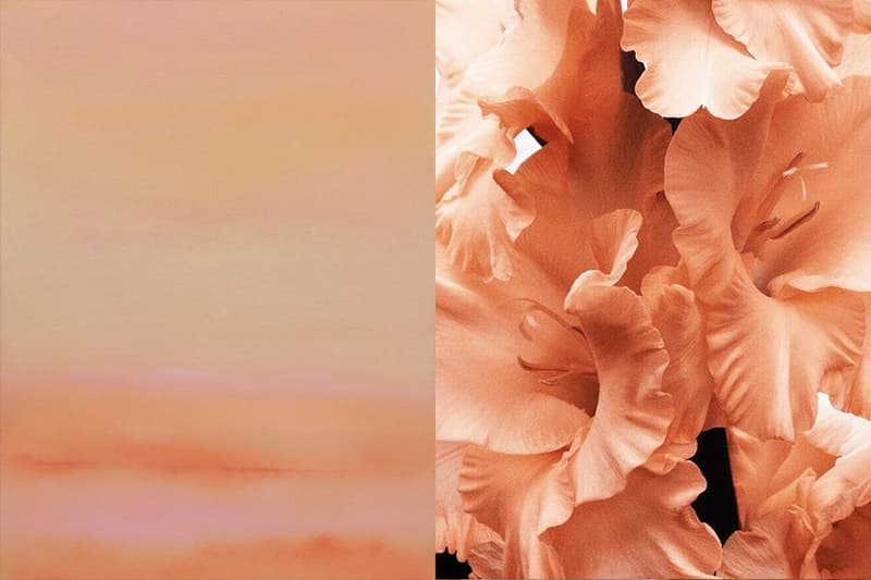 2022 theme Japan color Jolly Coral
