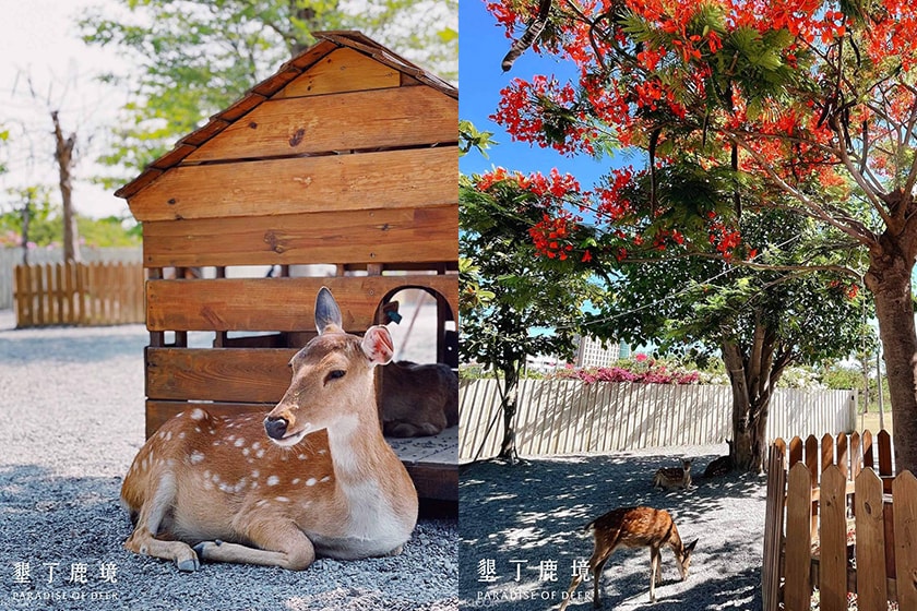POPSPOTS Paradise Of Deer in Kenting