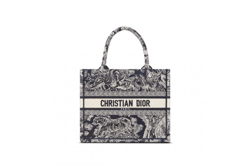 dior book tote small size new 2022 oblique