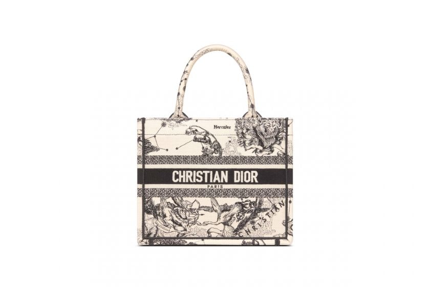 dior book tote small size new 2022 oblique