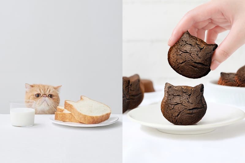 neko neko shokupan brownie new limited flavor taiwan