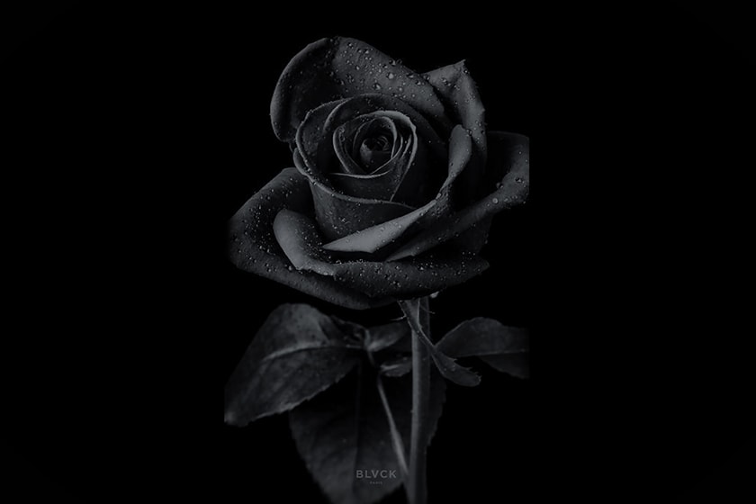 BLVCK black Rose Chocolate Flavor Ice Cream
