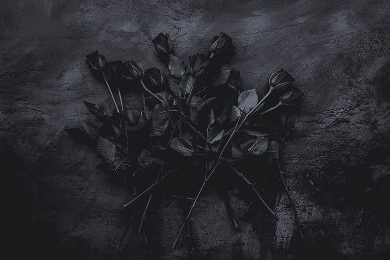 BLVCK black Rose Chocolate Flavor Ice Cream