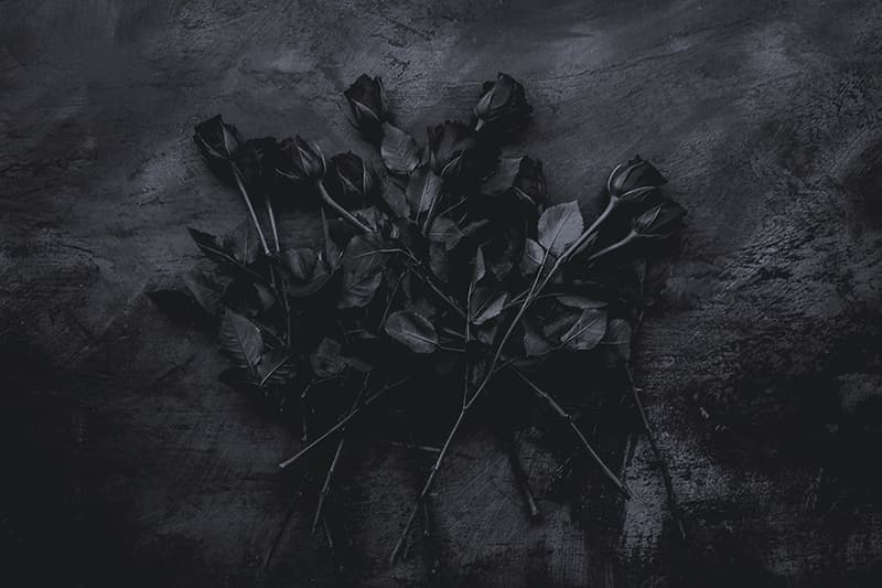 BLVCK black Rose Chocolate Flavor Ice Cream