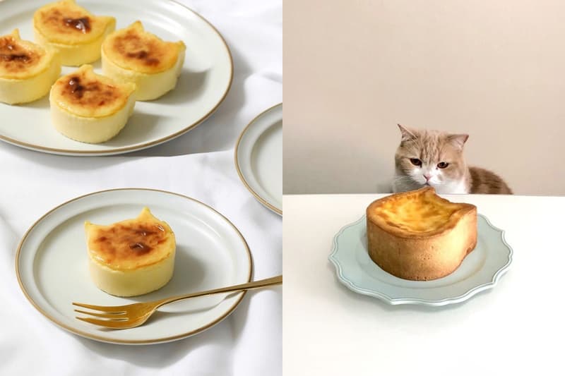 Neko Neko Cheesecake Hsinchu Pop-up store