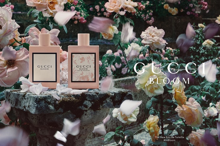 沐浴在晨曦中：Gucci Bloom 全新淡香氛登場，如花園裡晶瑩剔透的露珠！