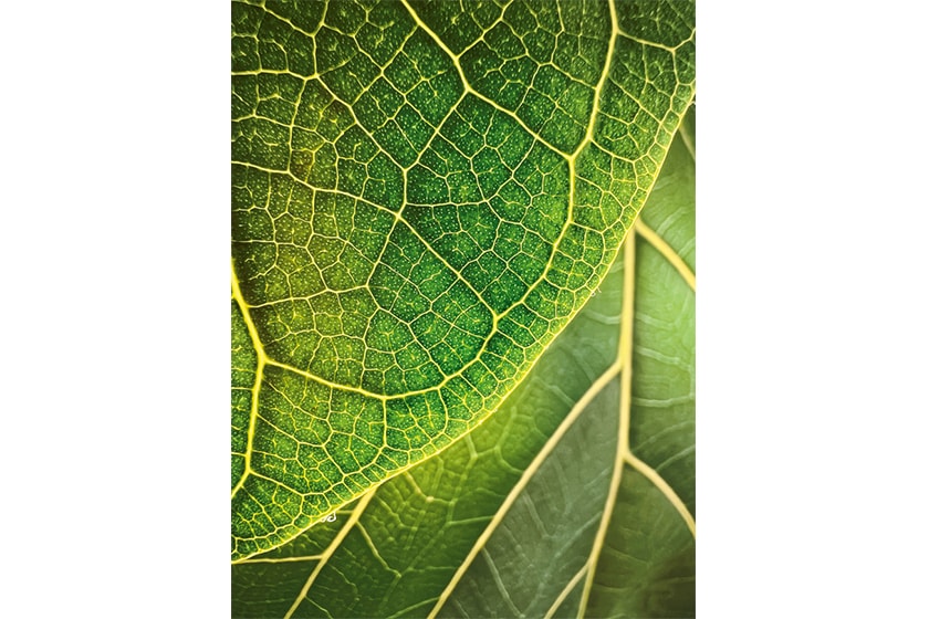 Apple Shot on iPhone Challenge 2022