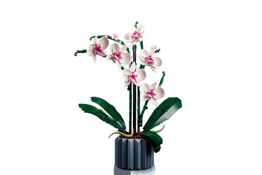 LEGO Orchid 10311 Succulents 10309