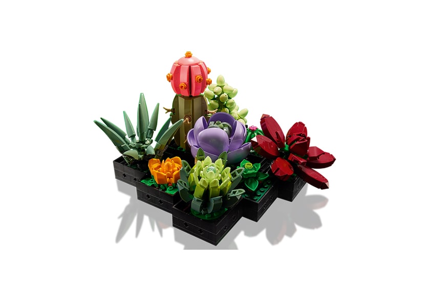 LEGO Orchid 10311 Succulents 10309