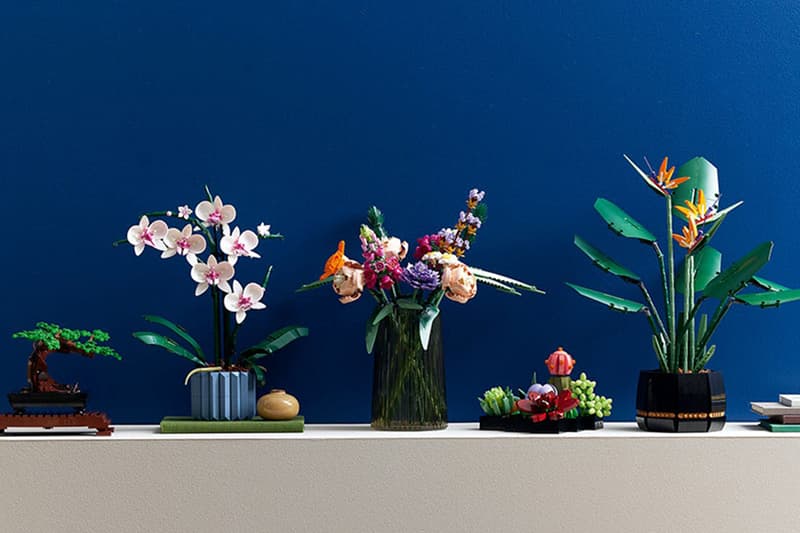 LEGO Orchid 10311 Succulents 10309