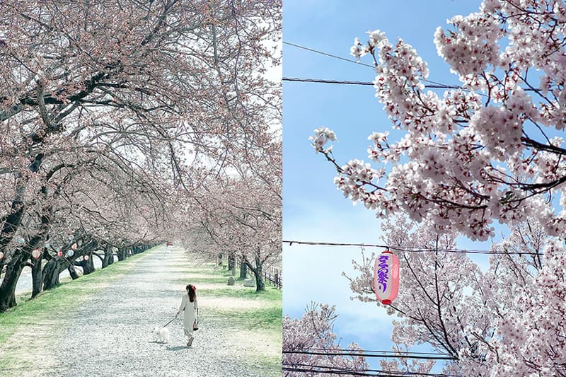 Apple iPhone 13 Pro Eri Ron Photo Tips