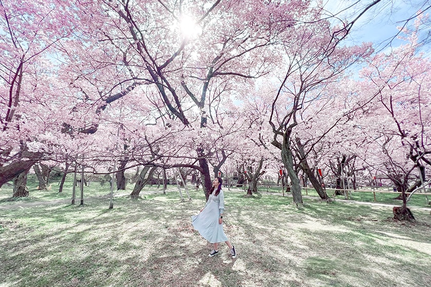 Apple iPhone 13 Pro Eri Ron Photo Tips