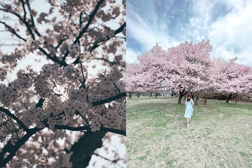 Apple iPhone 13 Pro Eri Ron Photo Tips