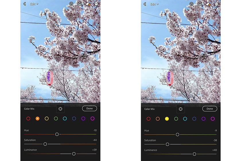 Apple iPhone 13 Pro Eri Ron Photo Tips