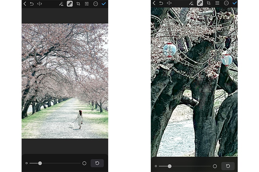 Apple iPhone 13 Pro Eri Ron Photo Tips