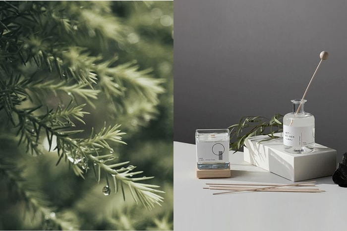 拌入花果香的木質調:芬蘭小眾香氛 HETKINEN 森林系列,致鍾愛雨天的你。