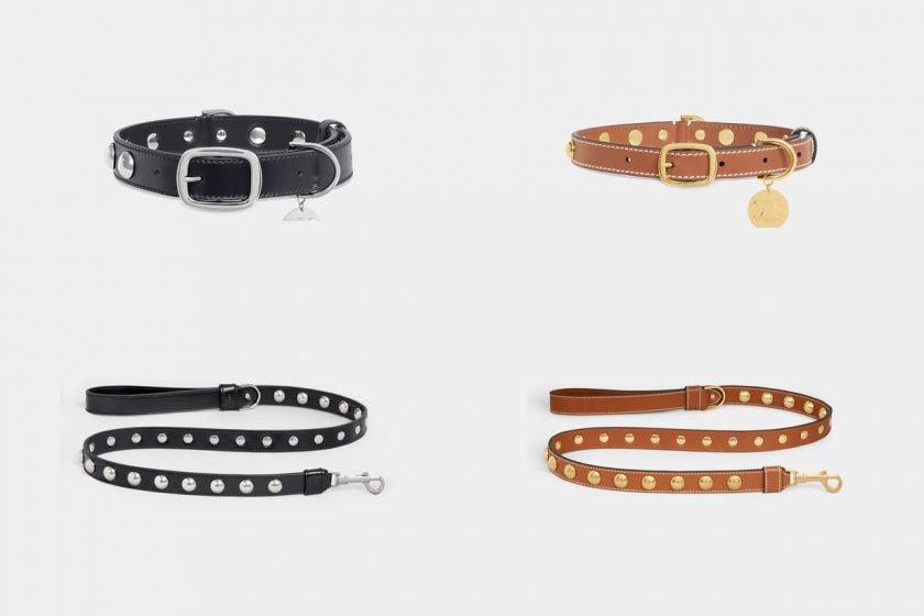 celine LA COLLECTION DE SELLERIE ET D'ACCESSOIRES POUR CHIENS 2022 june