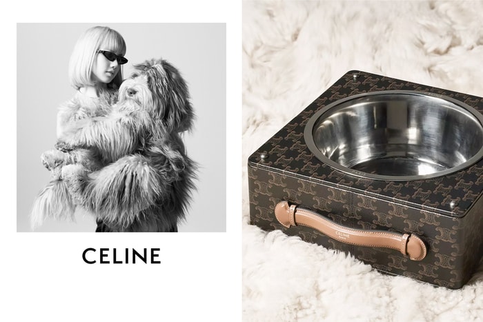 讓人融化的系列：Celine 推出寵物用品，Hedi 狗狗跟 Lisa 一同入鏡！