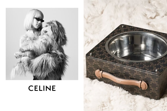 讓人融化的系列:Celine 推出寵物用品,Hedi 狗狗跟 Lisa 一同入鏡!