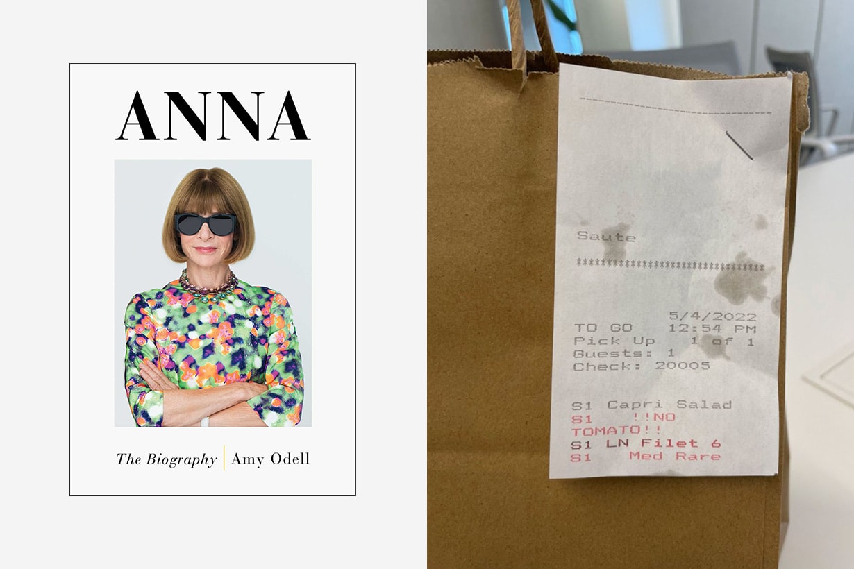ANNA WINTOUR BIOGRAPHY REVEALS HER STRANGE $77.33 USD GO-TO LUNCH