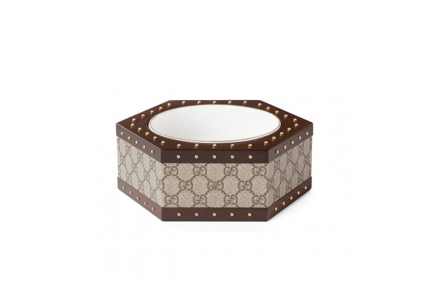 gucci pet colletion dog cat customize release 2022