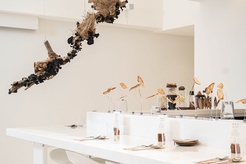 the seedin lab reserve moon baking Temperature Studio TG limited pop-up