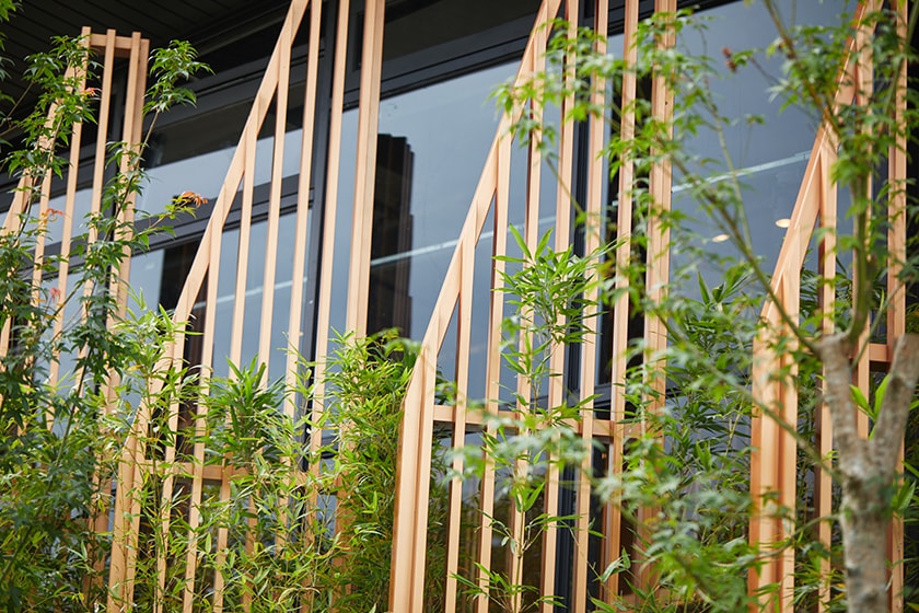 Starbucks Hsinchu Xionglin bamboo New Store Open 2022 summer