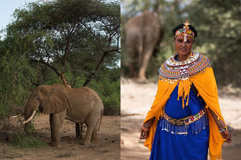 Loewe x Knot On My Planet Samburu Trust Handbags Elephant Crisis Fund