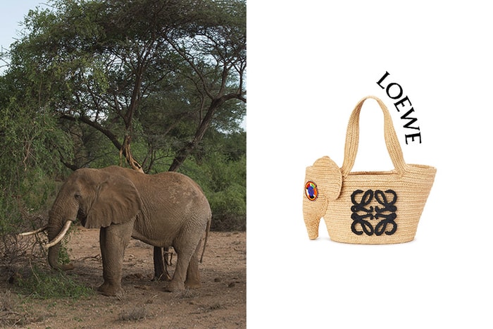 第四年合作:Loewe 新登場大象手袋,不只可愛還有令人拍手的細節!