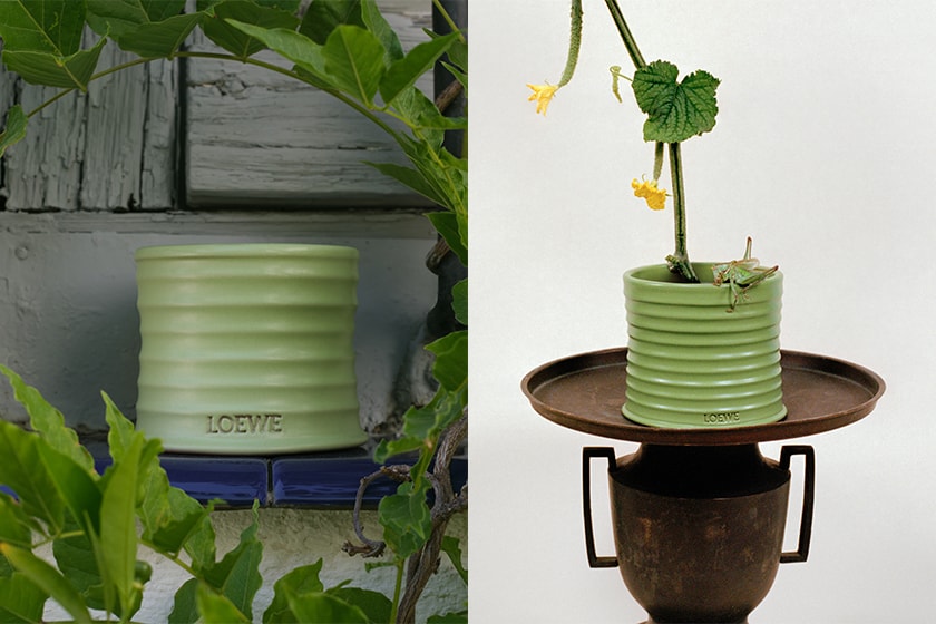 LOEWE Cucumber Scented Candle Home Scents collection