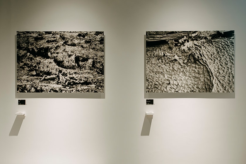 SAWAA Skin Hatch ONCE space Exhibition 2022