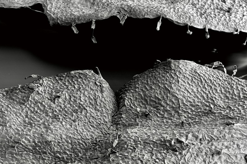 SAWAA Skin Hatch ONCE space Exhibition 2022